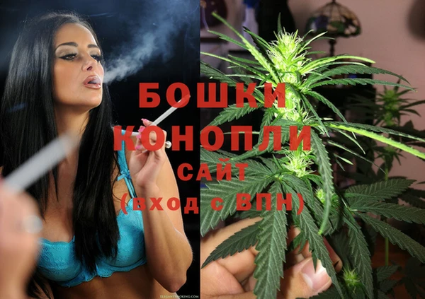 крисы Горняк