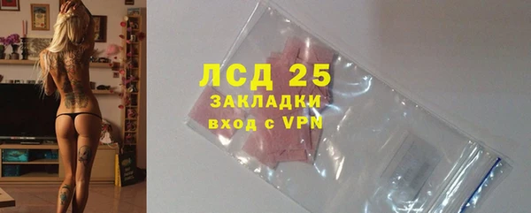 ГАЛЛЮЦИНОГЕННЫЕ ГРИБЫ Горно-Алтайск
