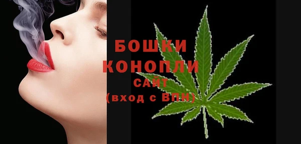 крисы Горняк