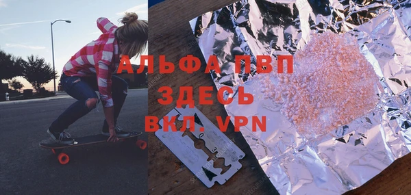крисы Горняк