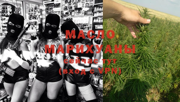 крисы Горняк