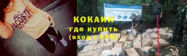ГАЛЛЮЦИНОГЕННЫЕ ГРИБЫ Горно-Алтайск